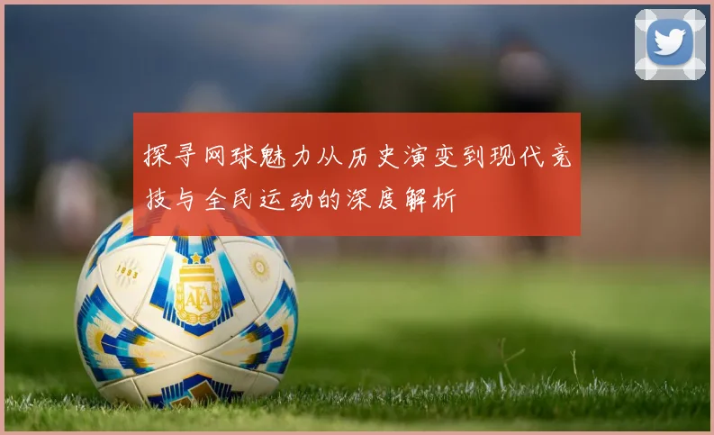探寻网球魅力从历史演变到现代竞技与全民运动的深度解析