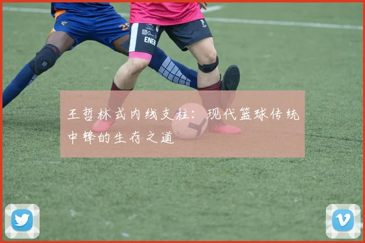 王哲林式内线支柱：现代篮球传统中锋的生存之道