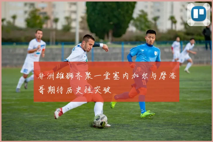 非洲雄狮齐聚一堂塞内加尔与摩洛哥期待历史性突破