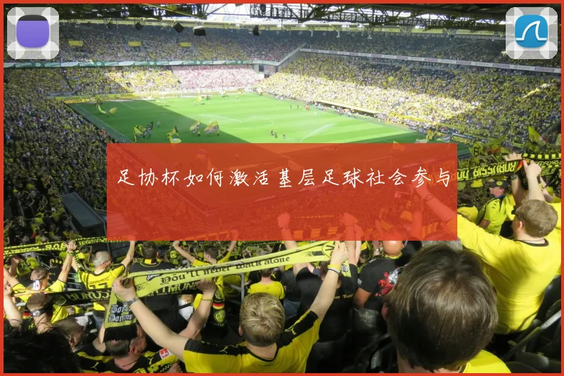 足协杯如何激活基层足球社会参与