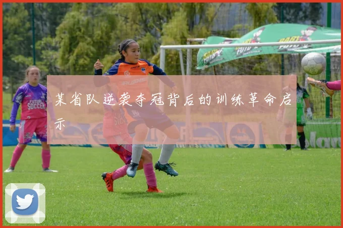 某省队逆袭夺冠背后的训练革命启示